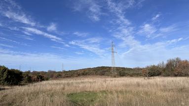 Ístria, Rovinjsko selo, terreno agrícola com uma área total de 13.856m2