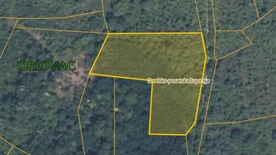 Oriovac, 8 landbruksarealer 4323 m²