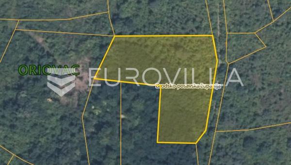 Oriovac, 8 landwirtschaftliche Parzellen 4323 m²