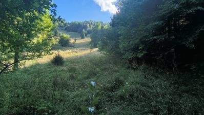 Mrkopalj, 1.000 m²'lik güzel bir arsa