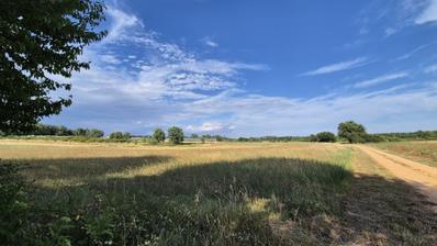 Kaštelir, Cerjani, poljoprivredno zemljište 32619 m²