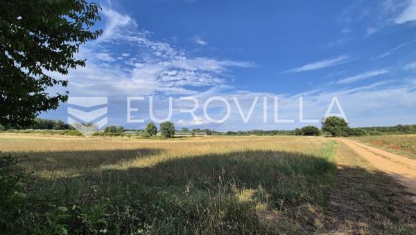 Kastelir, Cerjani, tarım arazisi 32619 m²