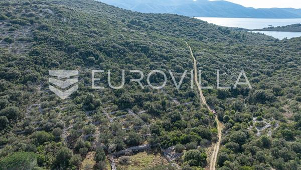 Pelješac, Nakovanj, poljoprivredno zemljište površine 3 719 m²