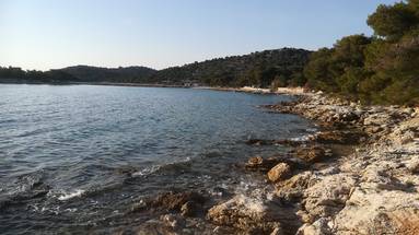 Isola, Murter, terreno agricolo 1.295 m2, vicino al mare