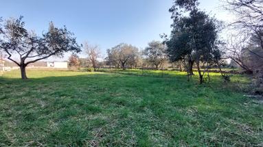 Istra, Vodnjan, građevinsko zemljište 746 m²