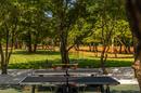 Istrien, Labin - topmoderne Villa "E", beheizter Pool 48 m², 2642 m² Landschaftsgarten - 25