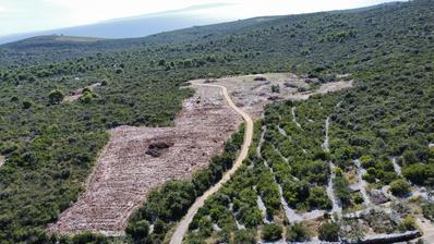 Solta, Donje Selo, 2,5 ha, kmetijsko zemljišče z razvojnim potencialom