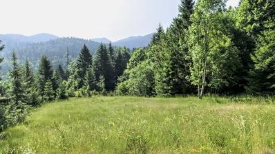 Ravna Gora, Stari Laz, ein wunderschönes Grundstück von 2.537 m² mit regelmäßiger Form.