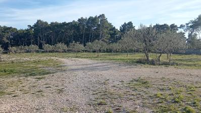 Solta, terreno agrícola com vista para o mar