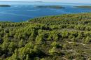 Island of Korčula, Karbuni, agricultural landna - 2