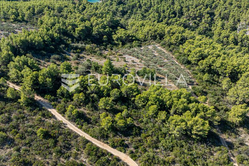 Island of Korčula, Karbuni, agricultural landna - 5