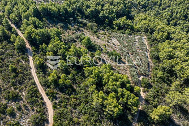 Island of Korčula, Karbuni, agricultural landna - 4