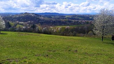 Karlovac, Tušilović, toplam 56.000 m2 alana sahip arazi