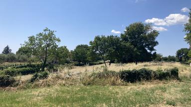 Istra, Puntera, urbanized land 1148 m2 on top location in the centre of village