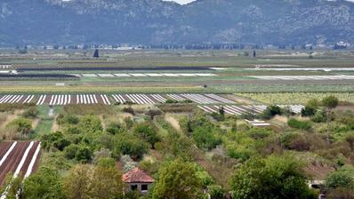 Ploce, Komin, maatalousmaa 1666 m²