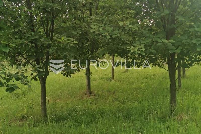 Topusko, Blatusa, opportunité d'investissement, domaine écologique, maison et 72 000 m² de terrain, 9 000 m² constructibles - 11