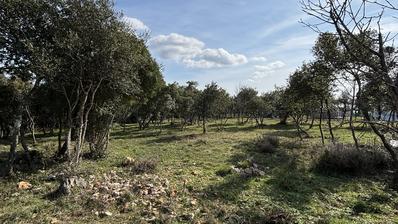 Lisignano, Valtura, terreno immerso nella natura