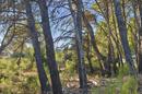 Vir, Pedinka building plot 652 m² - 5