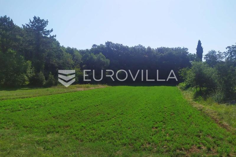 Istria, Tinjan, Building and Agricultural Land 4557 m²