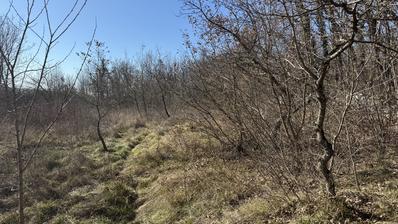 Istrien, Karojba - byggmark intill vägen 788 m2