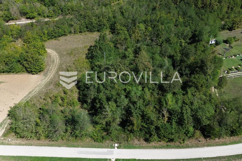Oprtalj, Livade, utmerket investeringsmulighet, nær Motovun - 3