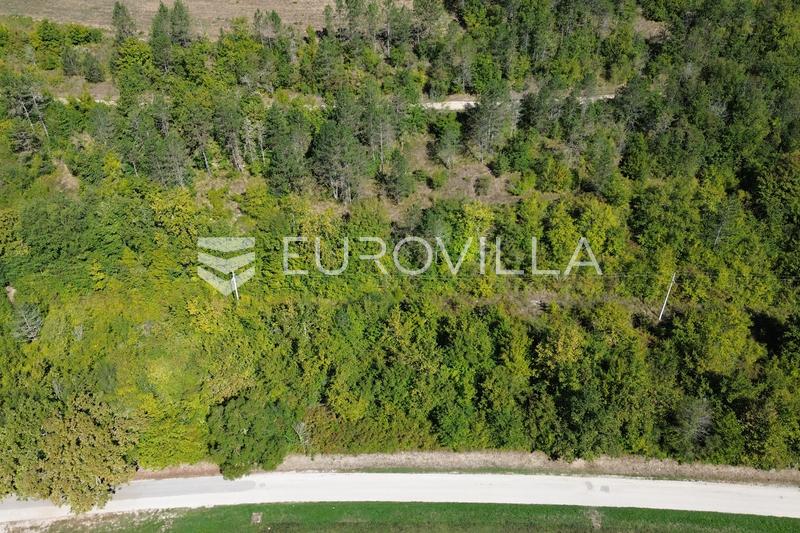 Oprtalj, Livade, utmerket investeringsmulighet, nær Motovun - 18