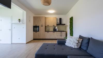 Izvrsna investicija u seoski turizam: Prodaja 4 moderno uređena apartmana u Kopačevu