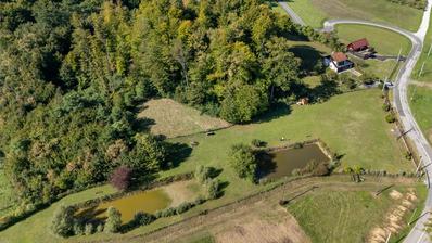 Gornja Stubica, Banščica, imanje 8.489 m² s kućom, pomoćnim objektima i dva ribnjaka