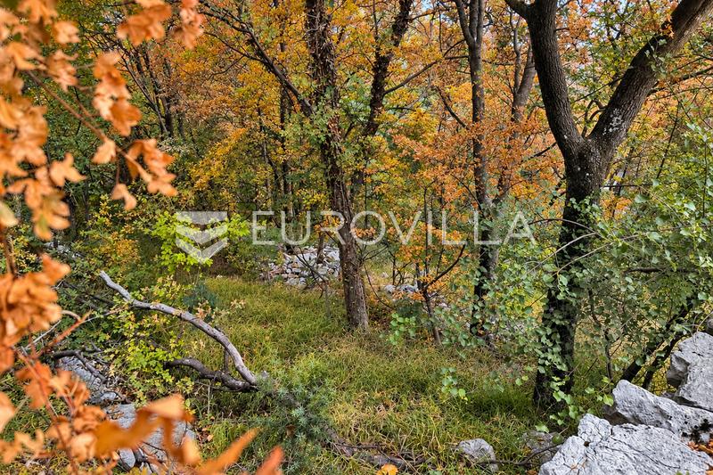 Novi Vinodolski, Ledenice, stavební pozemek 646 m², klid, soukromí a rozvojový potenciál - 4