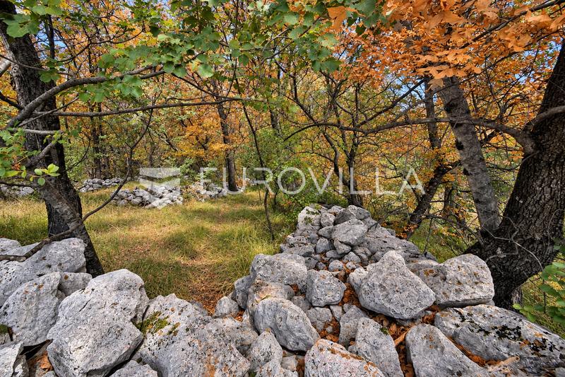 Novi Vinodolski, Ledenice, stavební pozemek 646 m², klid, soukromí a rozvojový potenciál - 3