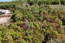 Istra, Vižinada, građevinsko zemljište 4.410 m² s panoramskim pogledom na more - 9