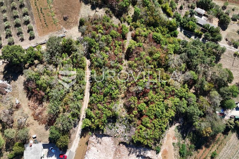 Istra, Vižinada, građevinsko zemljište 4.410 m² s panoramskim pogledom na more - 12