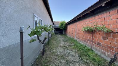 Strizivojna, kuća 175 m2 na zemljištu od 2794 m2