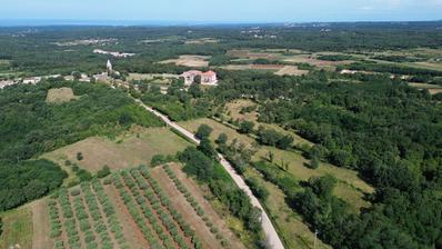 Istra, Višnjan, poljoprivredna parcela 8250 m², prekrasna lokacija
