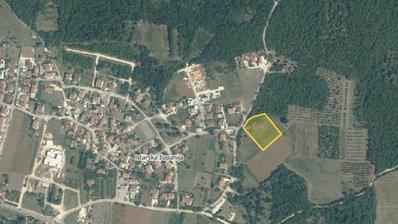 Istrien, Porec - Stor tomt på 24 940 m² med olivlund och investeringspotential