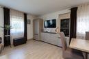 Mandićevac, prekrasna uređena kuća s vrtom i terasom, 145 m² - 14