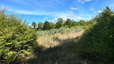 Poreč, Nova Vas, poljoprivredno zemljište u oazi mira