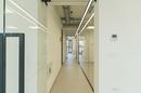 Osijek, Center, office space for rent 200 m² in a modern office building - 13