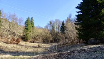 Delnice, zemljište površine 7732 m² s 2200 m² građevinskog