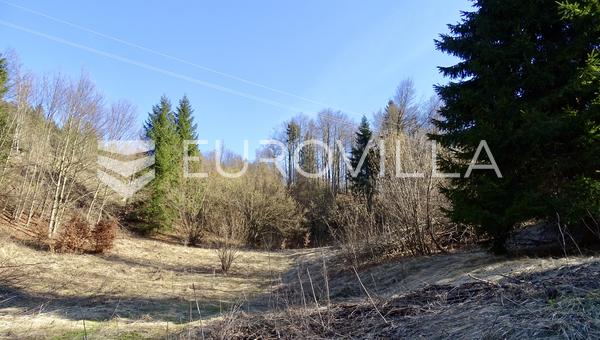 Delnice, terreno de 7732 m² con 2200 m² de superficie edificable