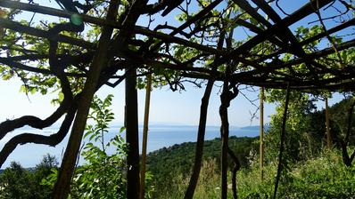 Opatija, impozantní panství se starozitnými budovami, stavebnictvím a zemědělskou půdou
