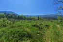 Peljesac, Putnikovici, terreno para construção - 3