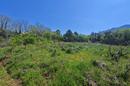 Peljesac, Putnikovici, terreno para construção - 2