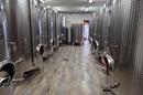 Istria, Motovun - toimiva viinitila viinitarhoilla ja tuotantokapasiteetilla - 6