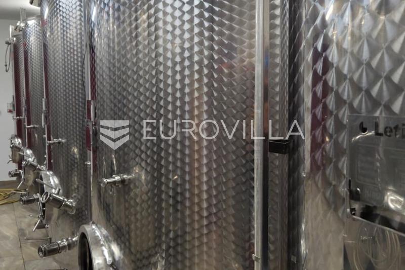 Istria, Motovun - toimiva viinitila viinitarhoilla ja tuotantokapasiteetilla - 7