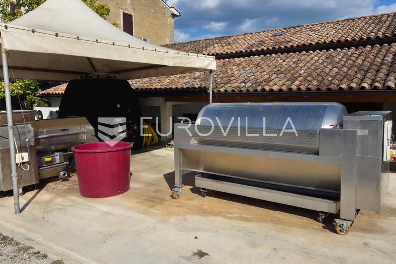Istria, Motovun - toimiva viinitila viinitarhoilla ja tuotantokapasiteetilla - 5
