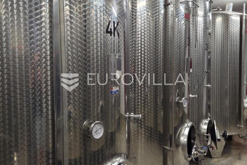 Istria, Motovun - toimiva viinitila viinitarhoilla ja tuotantokapasiteetilla - 8