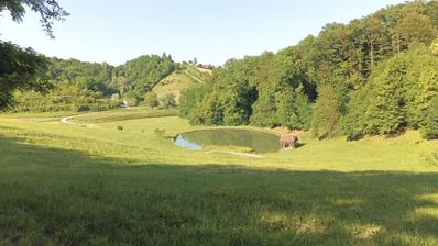 Novi Marof, Gornje Makojisce, mezőgazdasági birtok, összesen 29 500 m² területtel