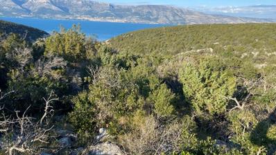 Otok Hvar, Turbalovo, poljoprivredno zemljište