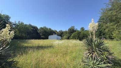 Istra, Poreč, ekskluzivno građevinsko zemljište 7.318 m², 600 m od mora